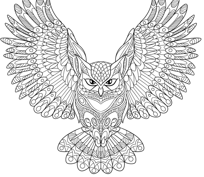 ptica